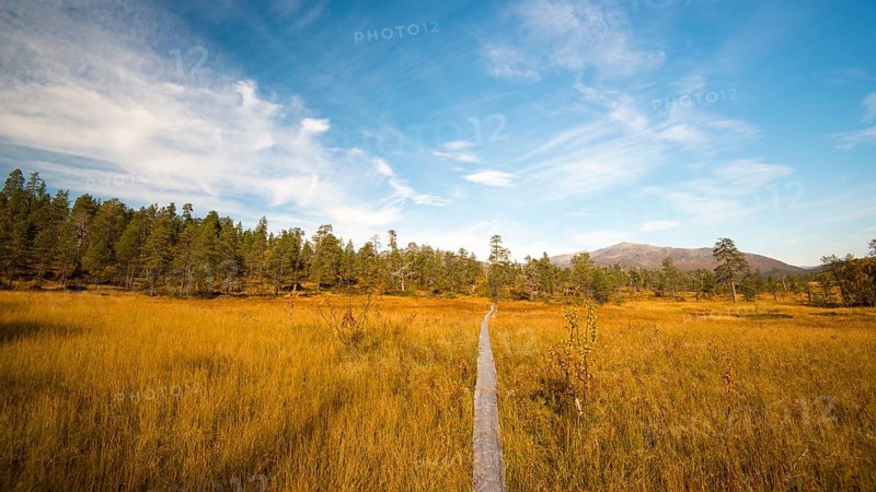 Hiking trail
