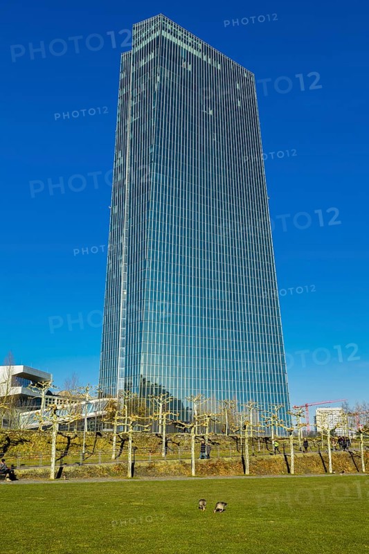 European Central Bank