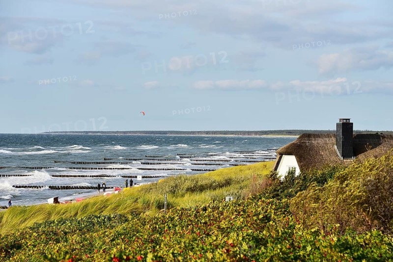 Groynes in the wavy sea