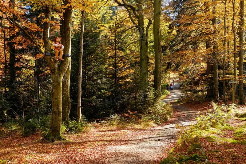 Hiking trail to the Brotjacklriegel
