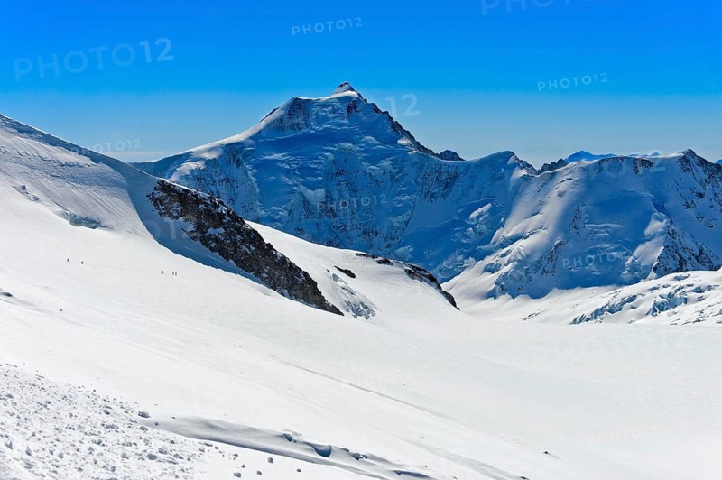 The snow-covered Aletschhorn