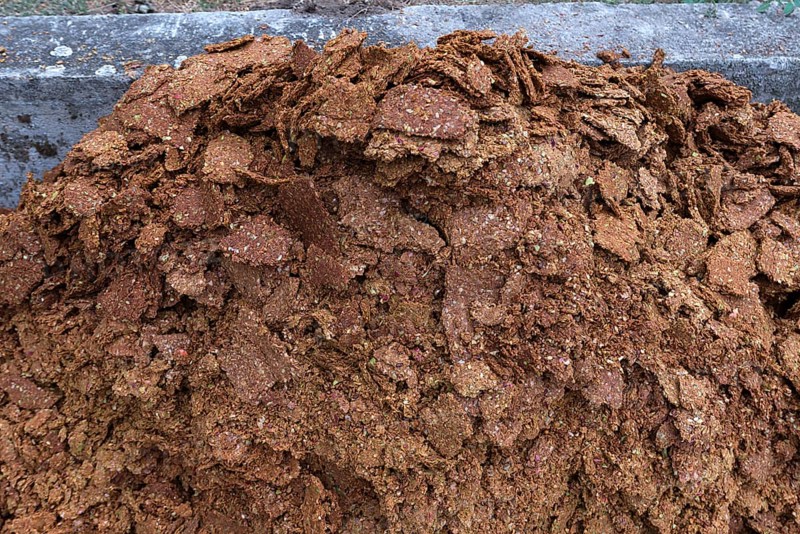 Pomace