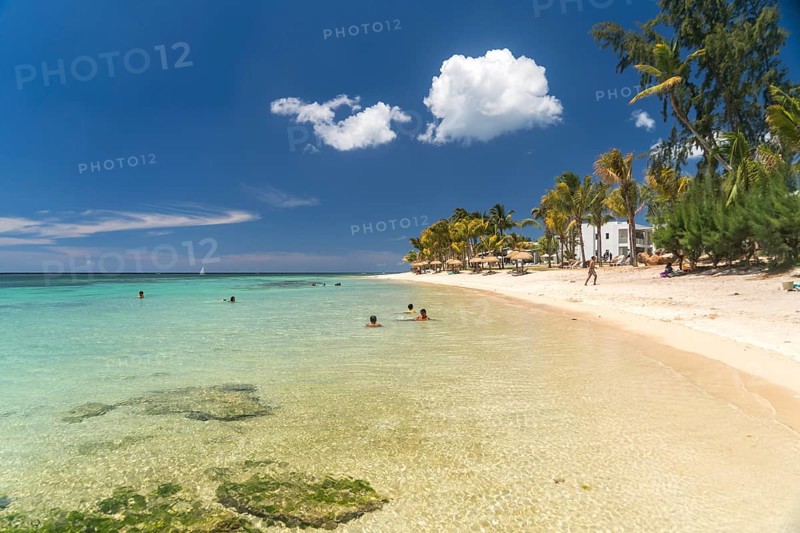 Dream beach at Turtle Bay