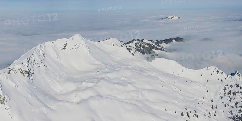 Panorama in winter