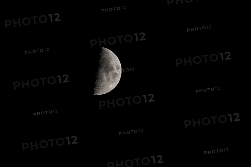 Half moon in the night sky