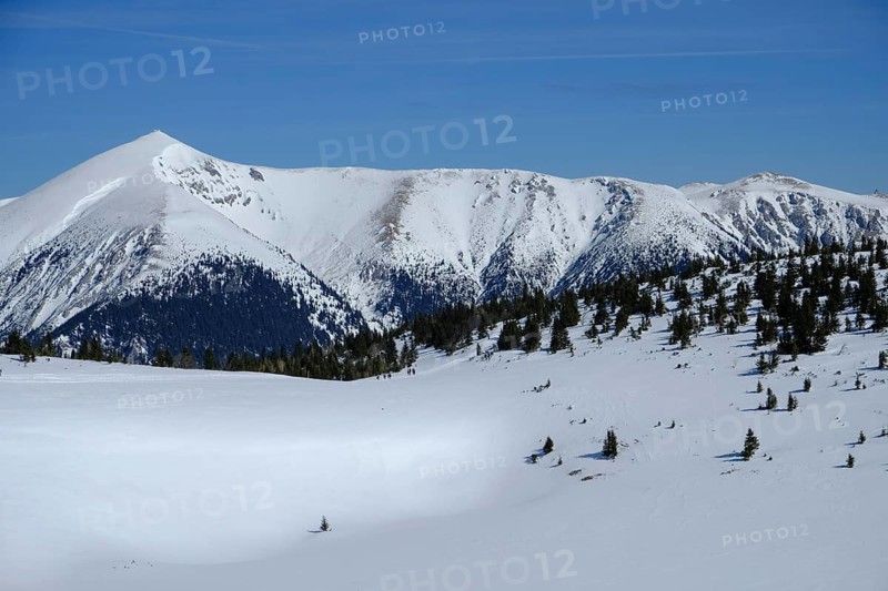 Winter landscape with Schneeberg