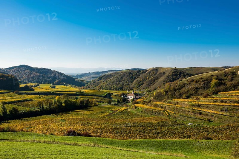Village in the vineyards in autumn
