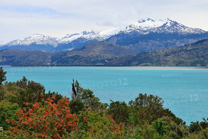 View of Lake Lago General Carrera and snow-capped mountains