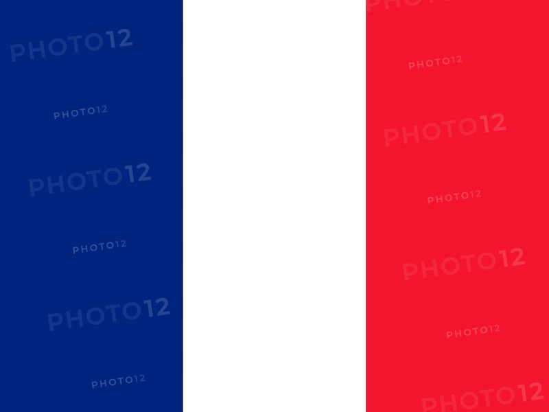 Official national flag of Martinique