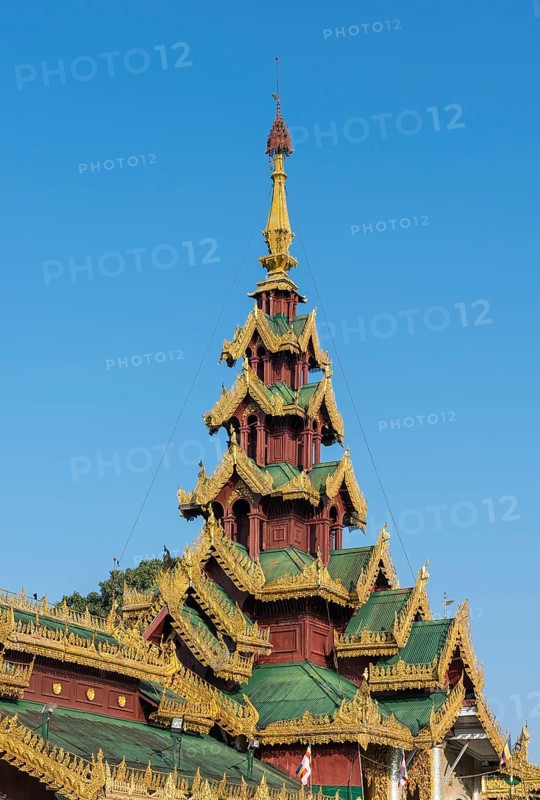 Ornate roof