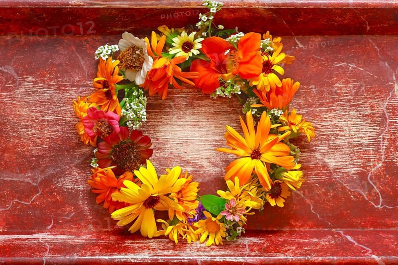 Flower wreath on red background