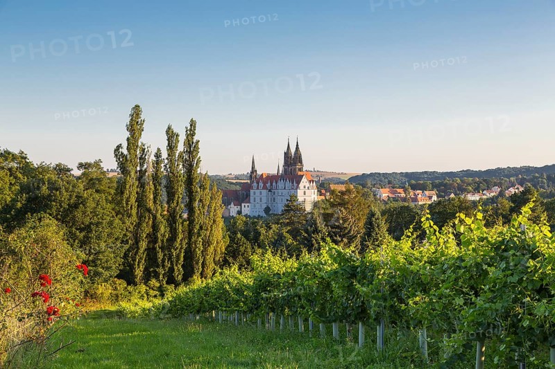 Albrechtsburg Castle and Cathedral of the Cat Steps in Proschwitz