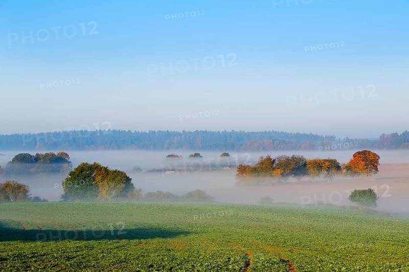 Morning mist near Perletzhofen near Riedenburg