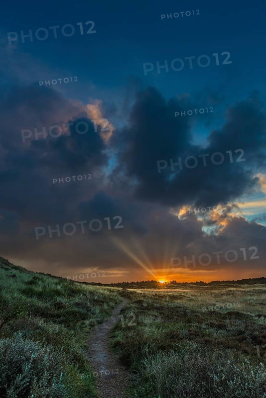 Sunrise with sunbeams over heathland