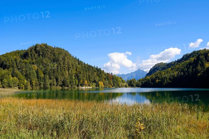 Alatsee