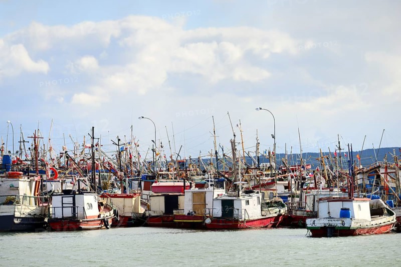 Many fishing boats in the port