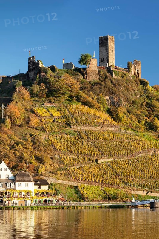 Ruins of Metternich Castle with vineyard