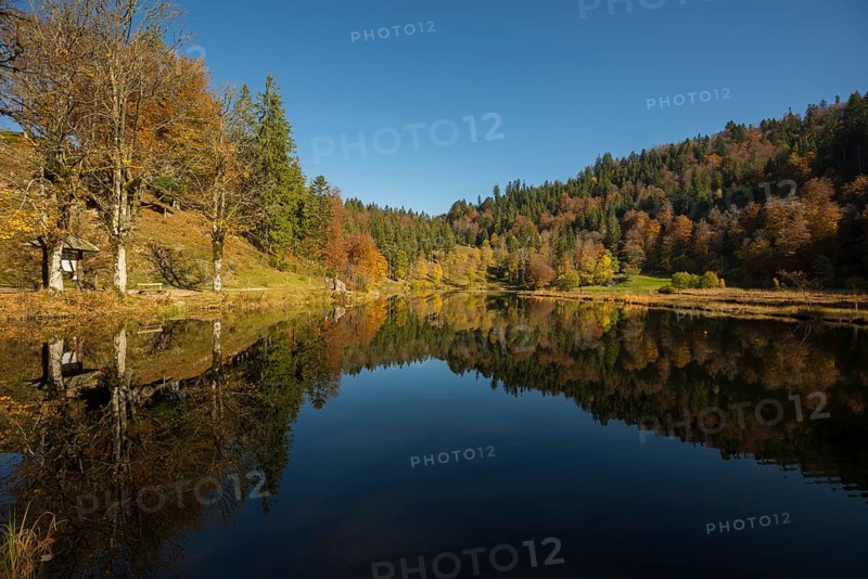 Lake with autumnal forest