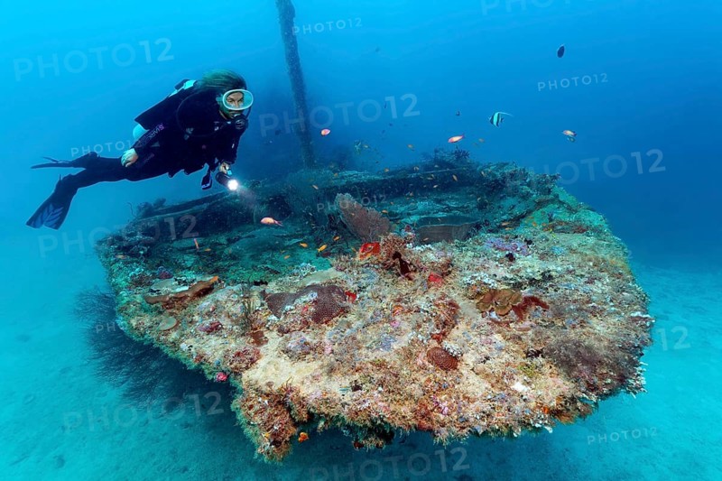 Divers with Lamp Viewed Coral-covered Bow
