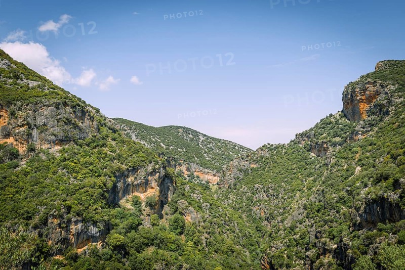 Wooded slopes