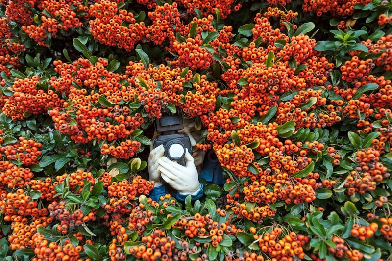Paparazzi figure with a camera in Firethorn