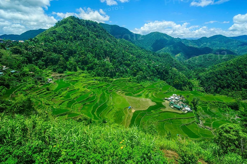 Bangaan in the rice terraces of Banaue