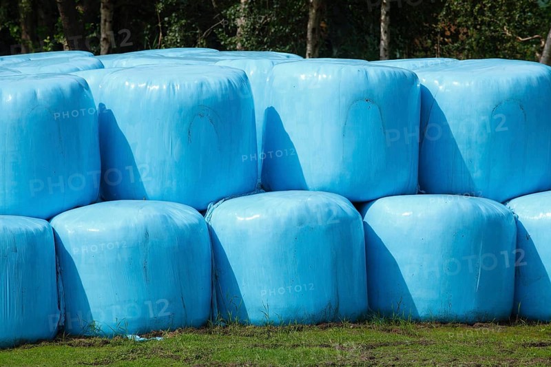 Grass silage wrapped in blue plastic