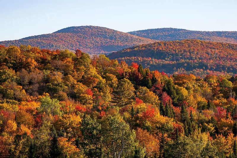 Autumn colors