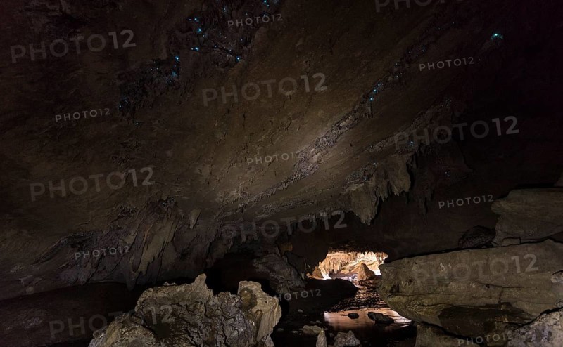 Stalactite cave with firefly colony
