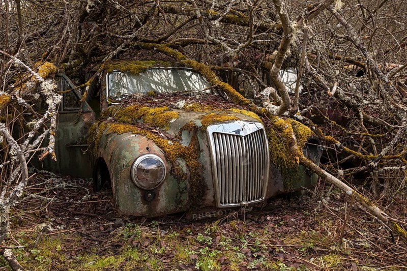 Oldtimer