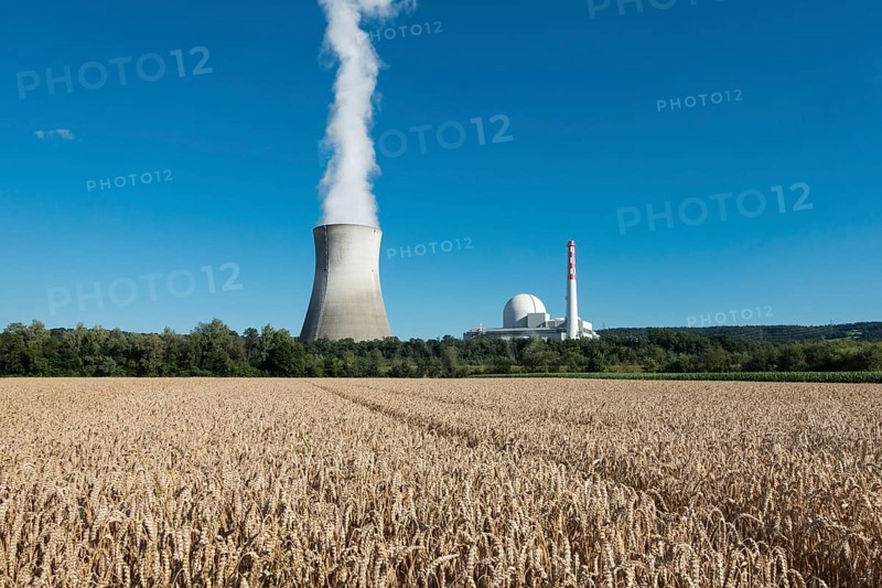 Grain field at the Swiss nuclear power plant Leibstadt am Rhein