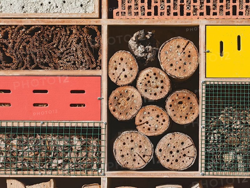 Insect hotel
