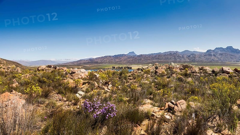 Landscape in the Ceder Mountains near Clanwilliam