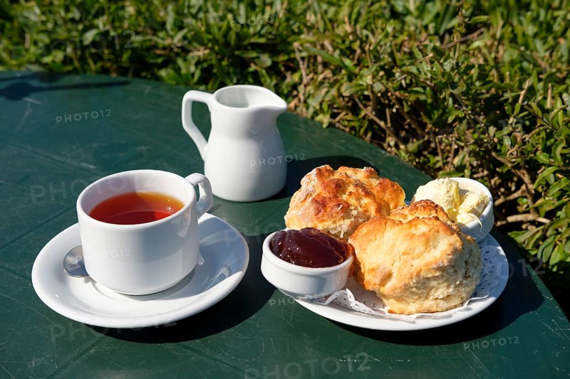 Cornish cream tea