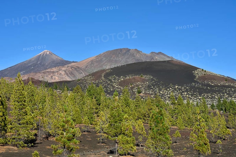 Pico del Teide and Pico Viejo