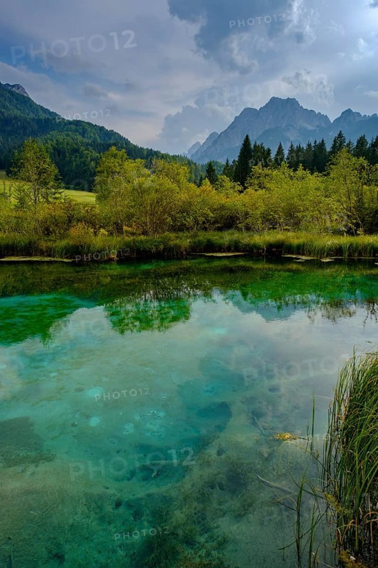 Sava Dolinka spring
