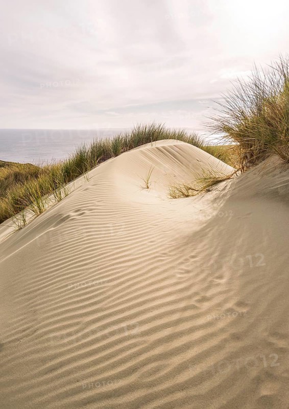 Sand Dune