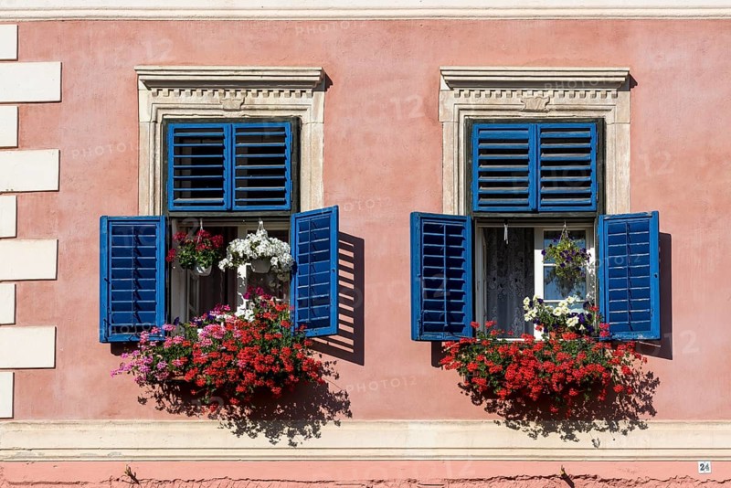 Blue windows with flowerpots of a house on Piata Mica