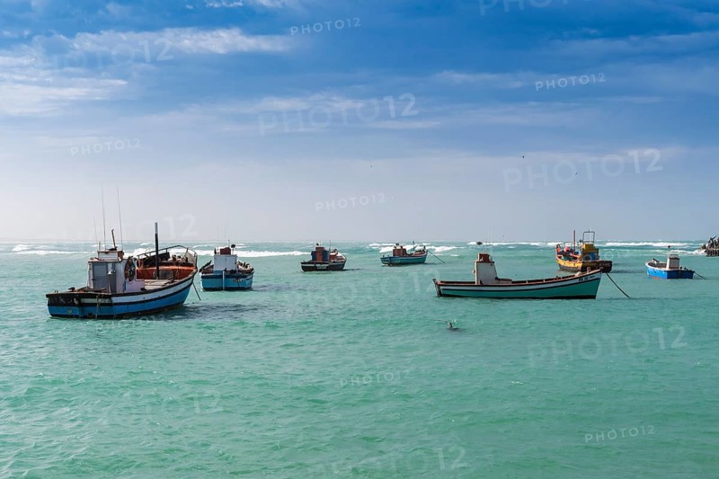Anchored fishing boats in harbor