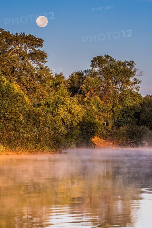 Full moon and morning fog at sunrise over the Rio Negro in the southern Pantanal