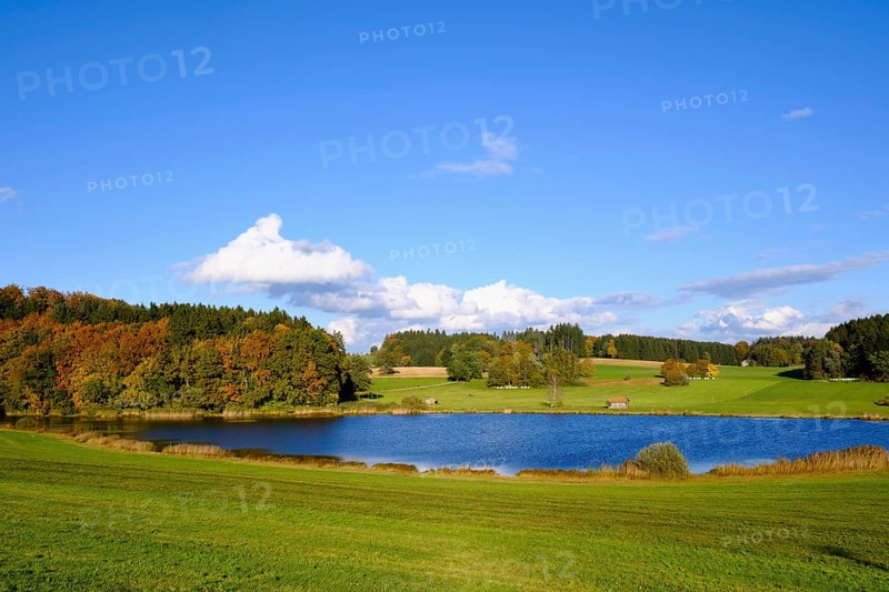 Sonderhamer Weiher