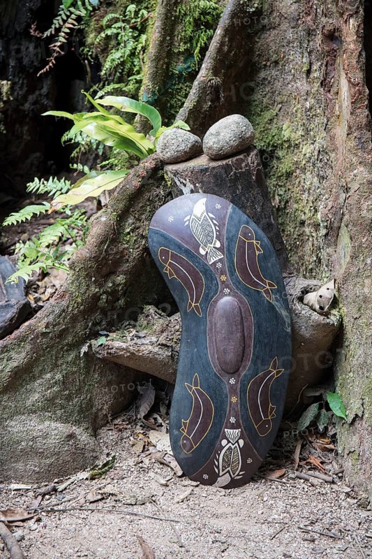 Shield of Aborigines