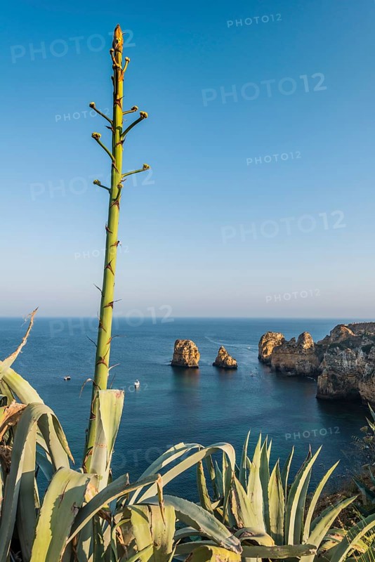 Ponta da Piedade