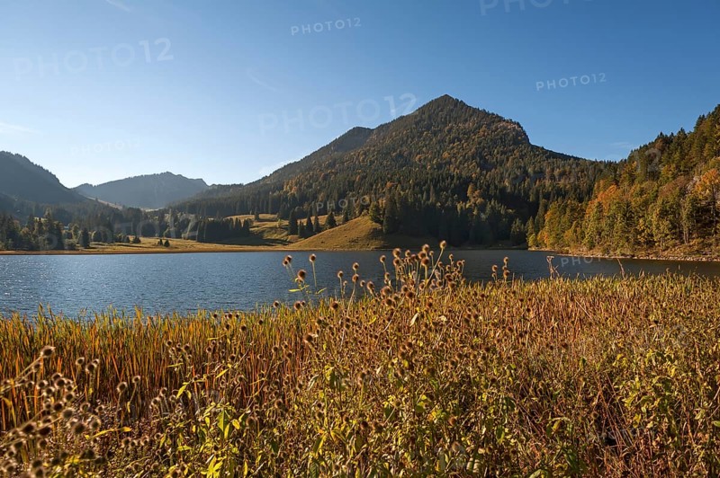 Lake Walchsee in autumn