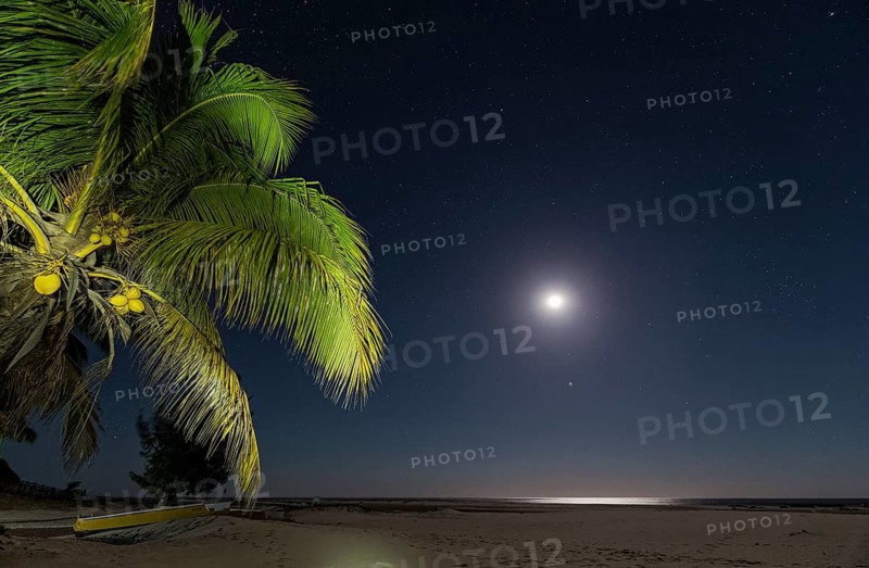 Sand beach at moonlight
