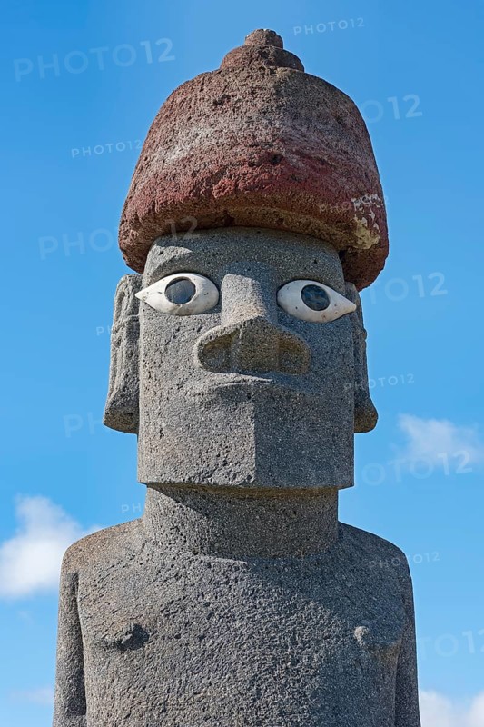 Moai in the Ahu Tahai Complex