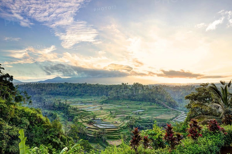 View of rice terraces and Gunung Agung volcano at sunrise