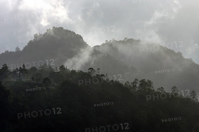 Mountains covered with vegetation