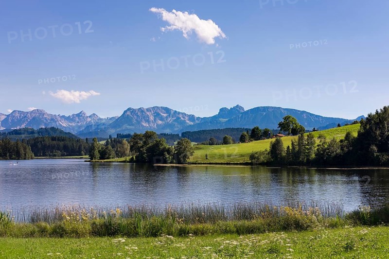 Schwaltenweiher
