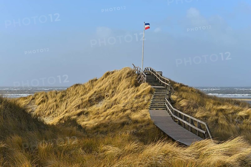 Boardwalk on the dunes of the North Sea